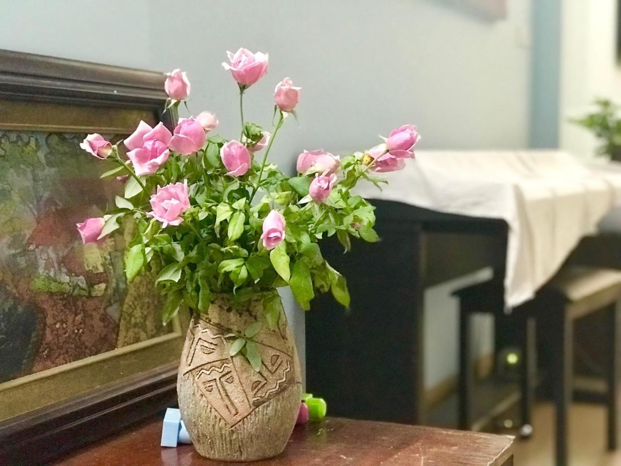 The Rose Home ハノイ市 エクステリア 写真